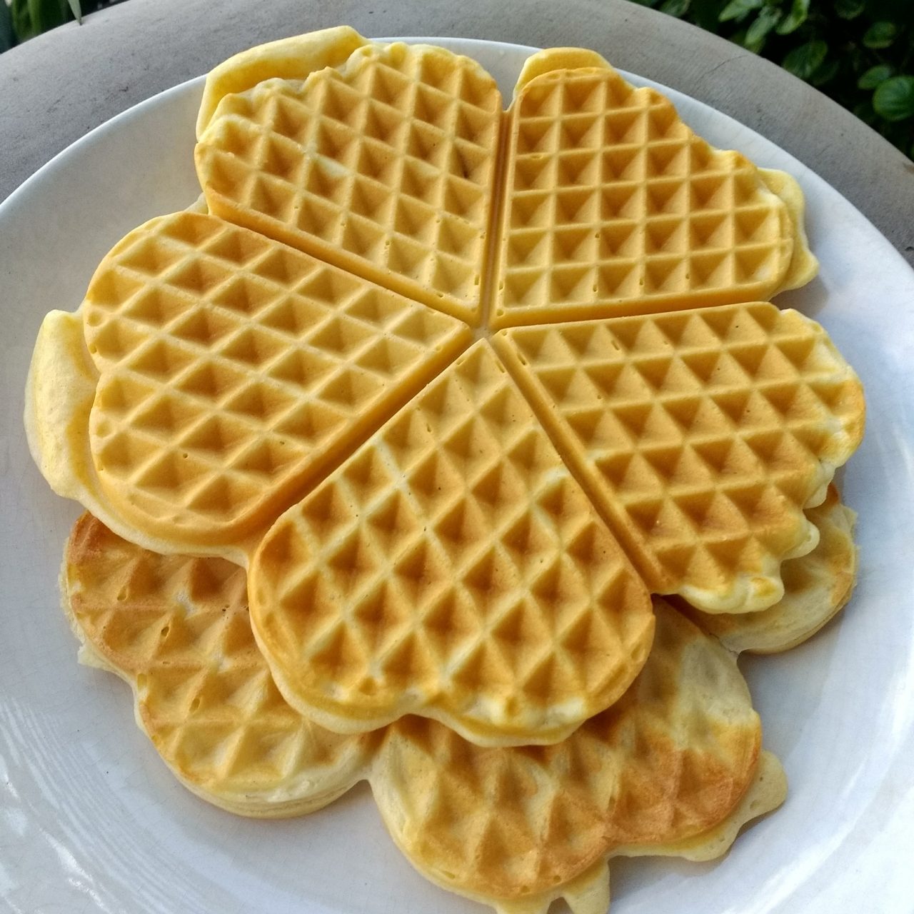 Waffles sin gluten Gluten Freak